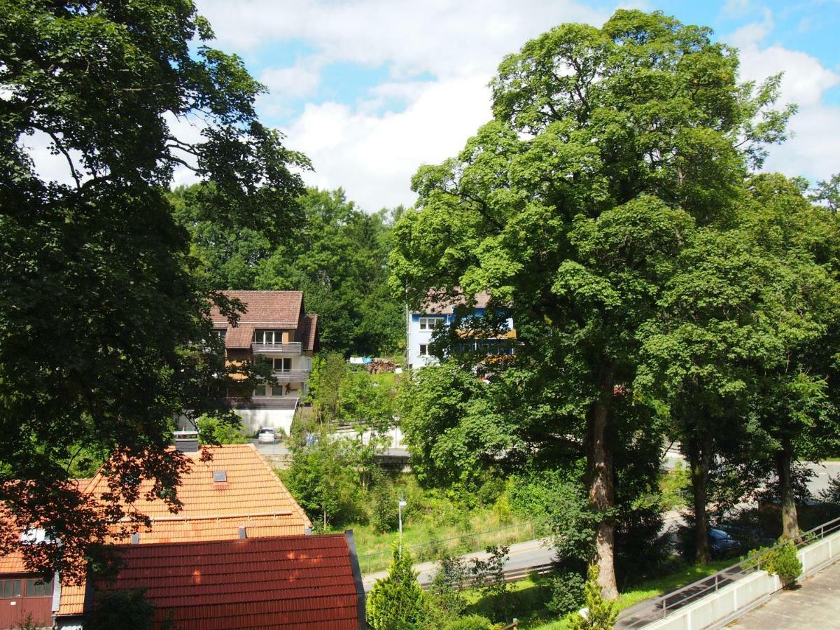 Apartment Harzgruen 2 Sankt Andreasberg Εξωτερικό φωτογραφία