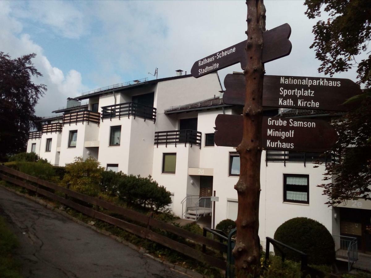 Apartment Harzgruen 2 Sankt Andreasberg Εξωτερικό φωτογραφία
